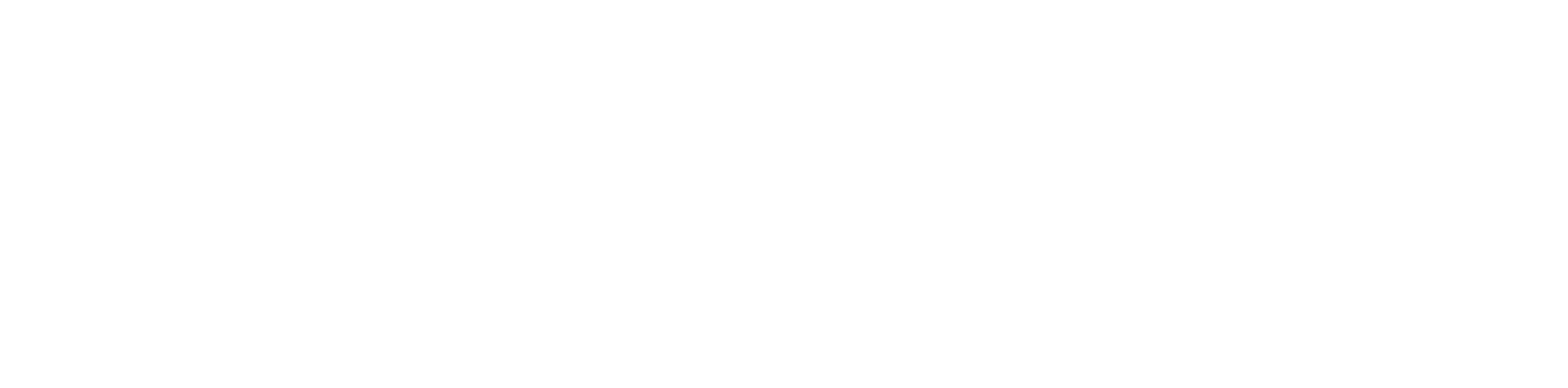 Логотип разработчика